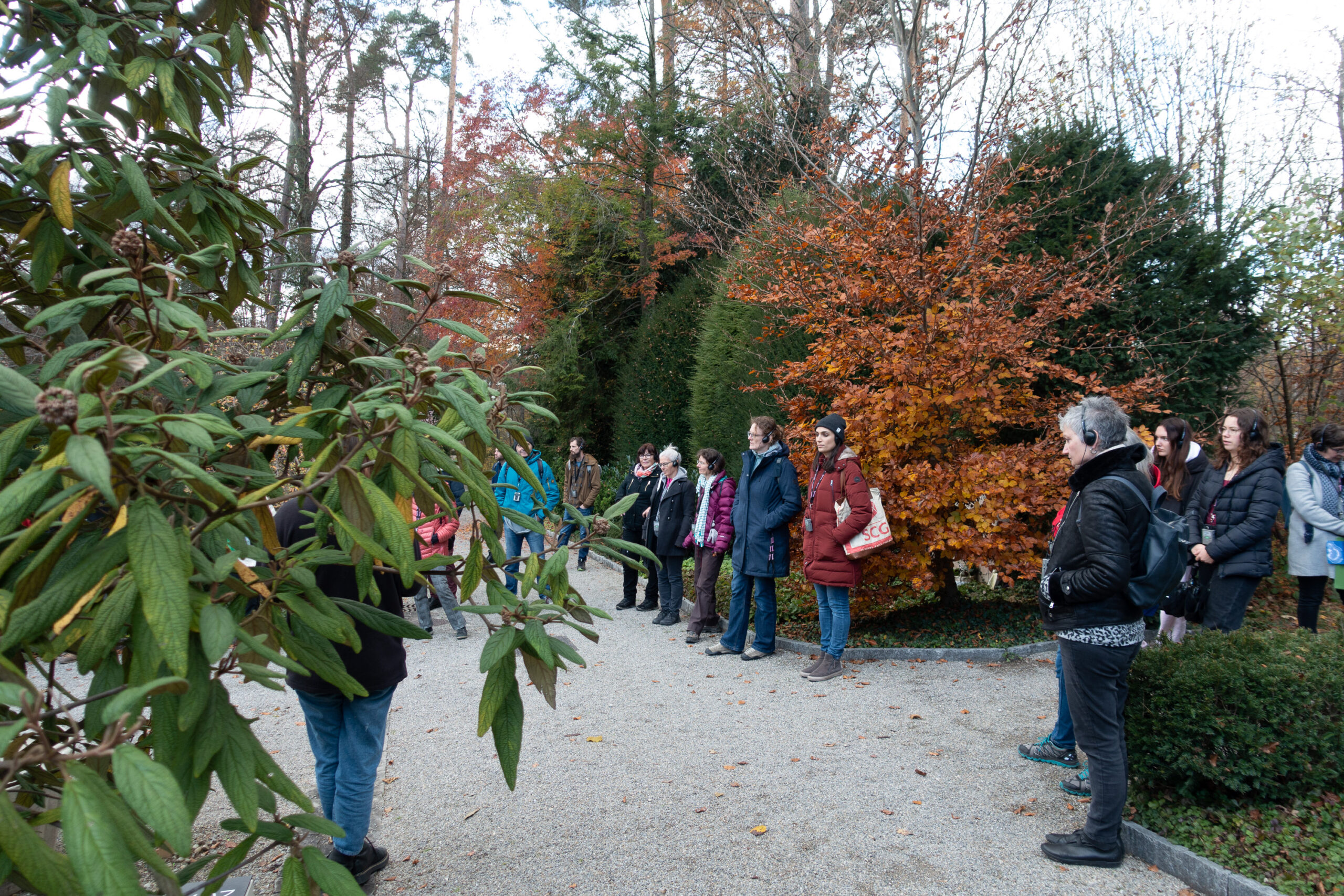 Endstationen Finissage Friedhof Rosenberg Winterthur Lauschig